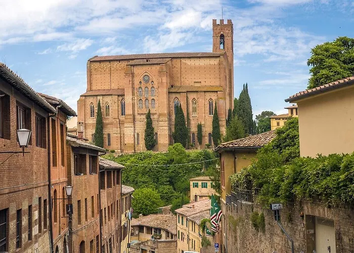 Rinidia - Celso Cittadini Grande Siena